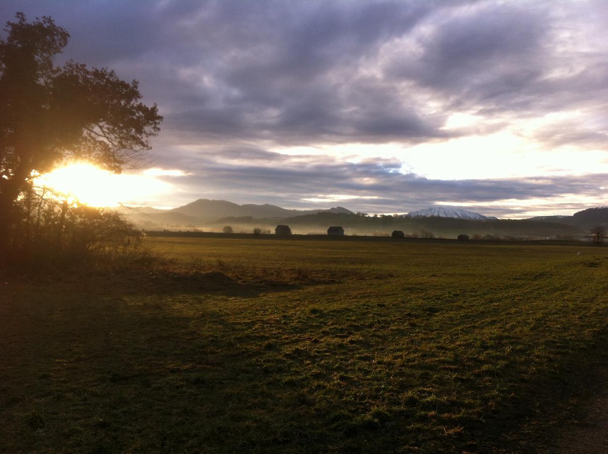 Gasthof Teufl Purgstall an der Erlauf ภายนอก รูปภาพ