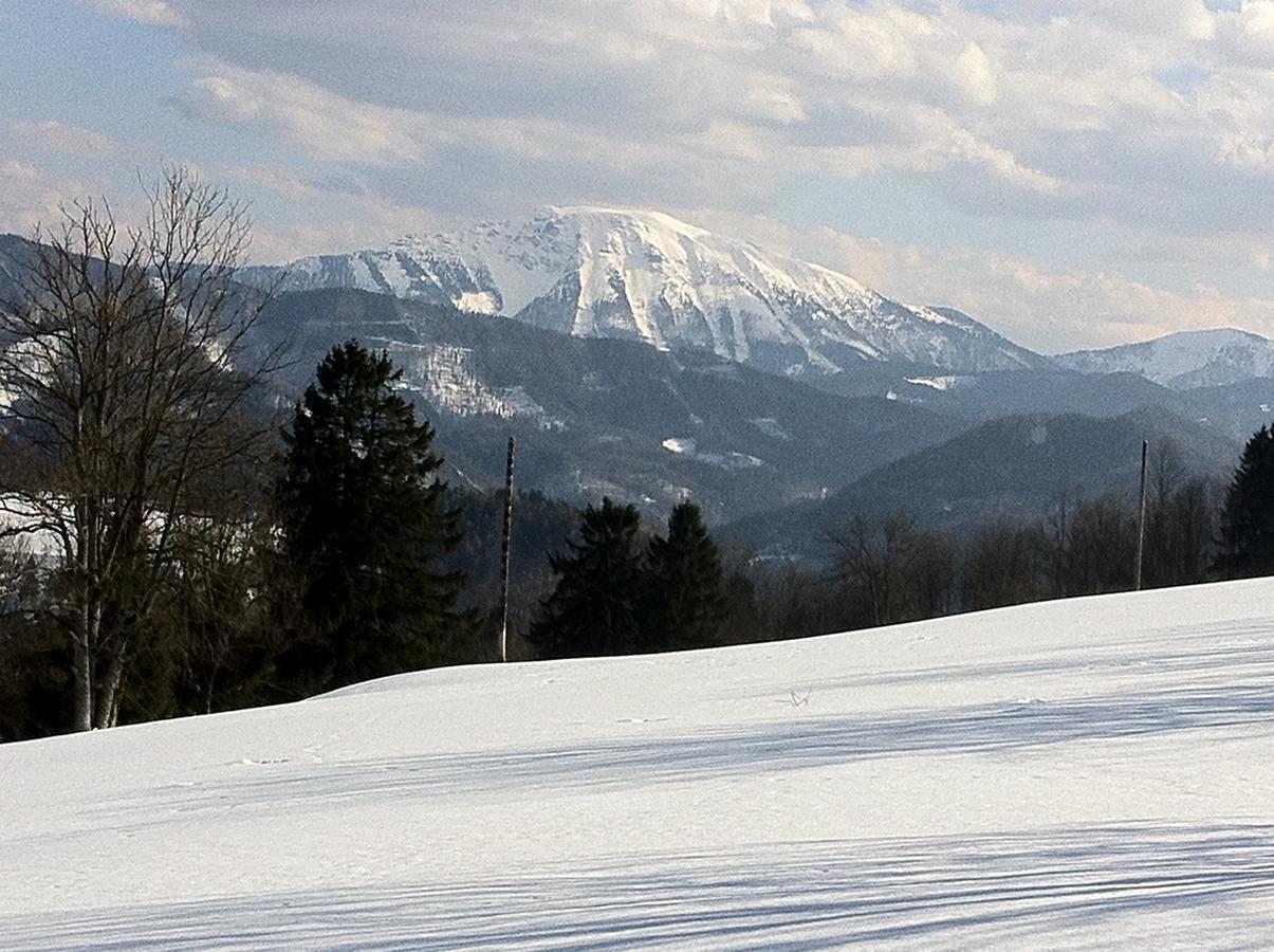 Gasthof Teufl Purgstall an der Erlauf ภายนอก รูปภาพ